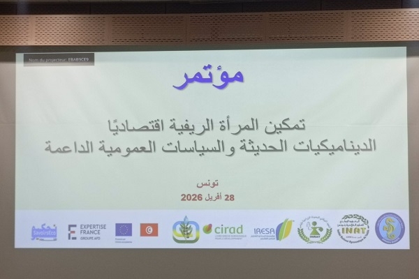 نساء الريف يفرضن أنفسهن: أرقام قياسية… وتحديات تكشف الحاجة إلى إصلاح عاجل